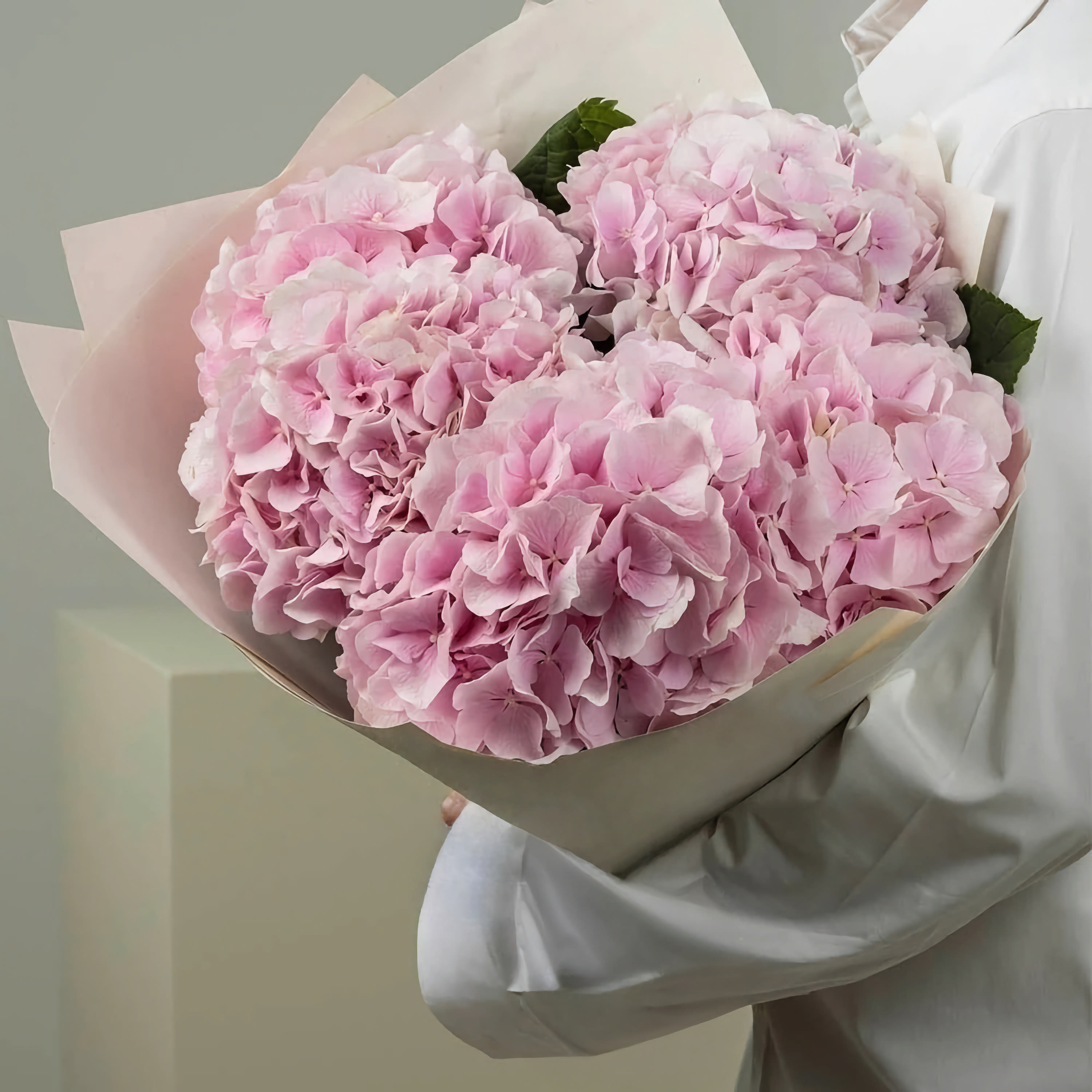 Букет из 3 розовых гортензий в темно-серой пленке